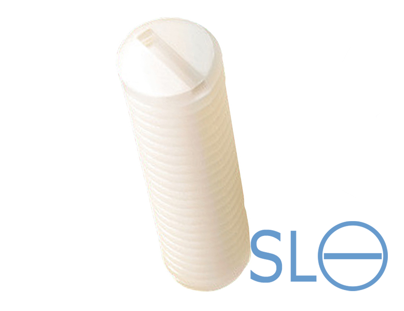 Vis sans tête fendue - DIN 551 (ISO 4766) - plastique