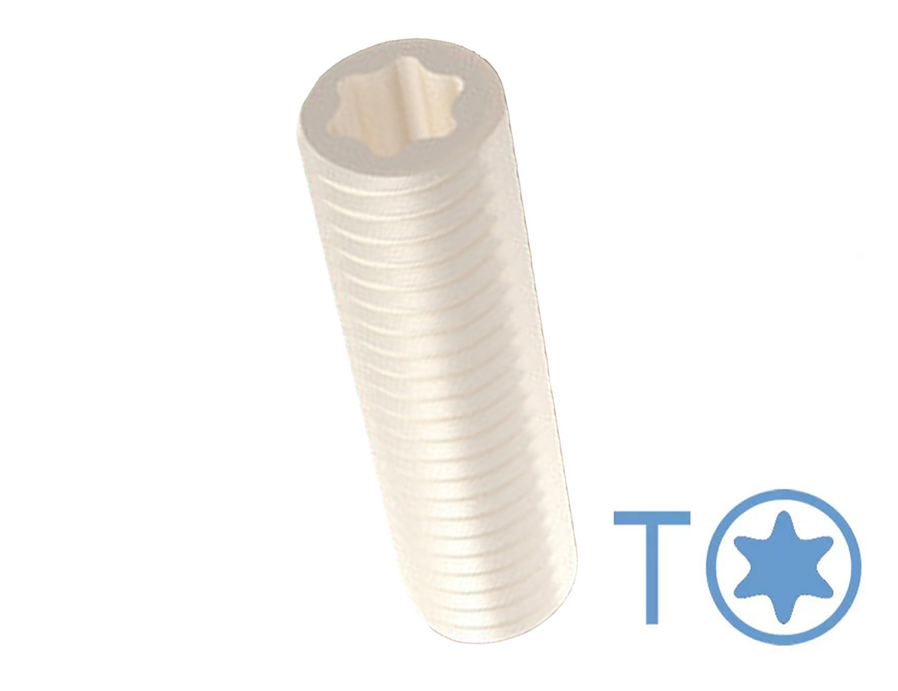 Vis sans tête Torx - DIN 913 (ISO 4026) - plastique